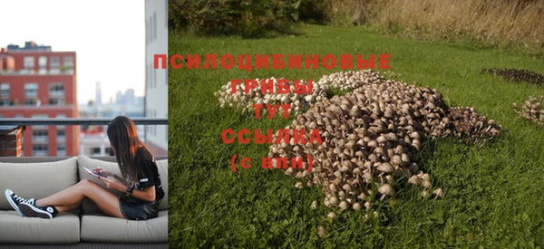 COCAINE Белокуриха