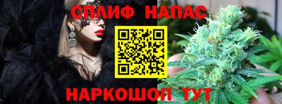крисы Обь